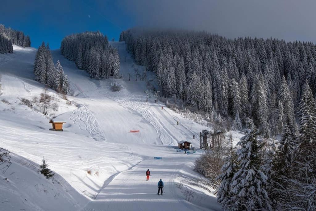L'Enchalpe, Grand Et Lumineux Studio Avec Coin Montagne 5 Personnes, 60M Des Pistes, Piscine Couverte, Wifi, Grand Balcon Expo Est, Draps Non Compris Saint-Jean-dʼAulps Exterior foto